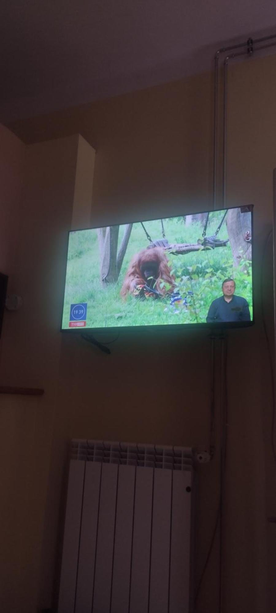 Zrodlana13 Apartamenty Makow Podhalanski Buitenkant foto
